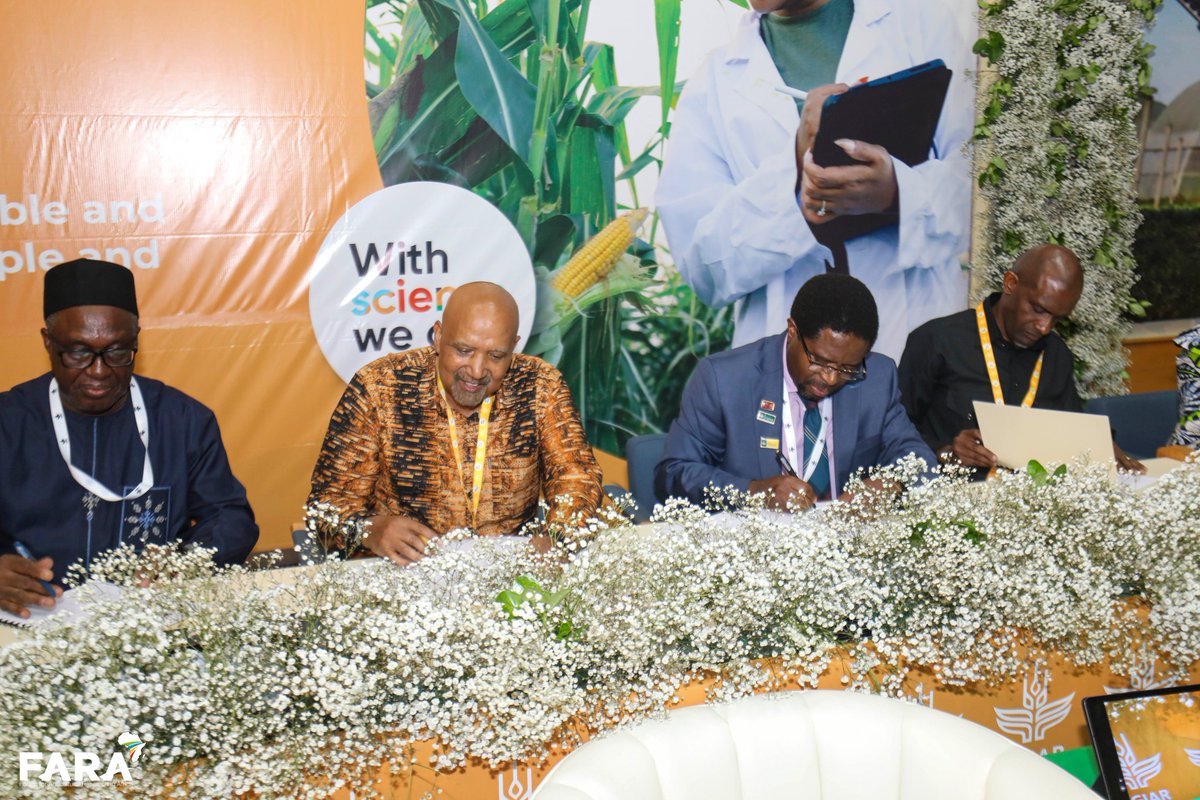 CORAFNews's tweet photo. Un grand pas pour l’innovation agricole en Afrique
Lors de la #CGIARScienceWeek, le #CORAF, #FARA, #ASARECA et #AFAAS ont signé un partenariat stratégique avec le @CGIAR pour accélérer la transformation numérique de l’agriculture et renforcer l’écosystème des connaissances. https://t.co/Uqw1QkRBZ1