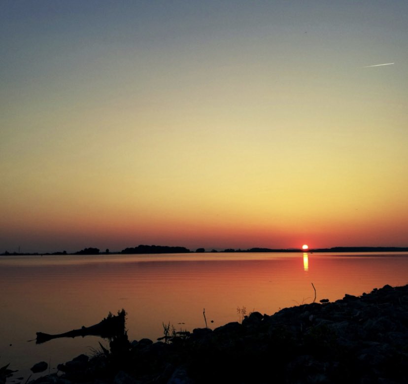 AdLibby1's tweet image. orange sorbet
the soft sunset
melts into the lake
#dailyhaikuprompt (sunset)