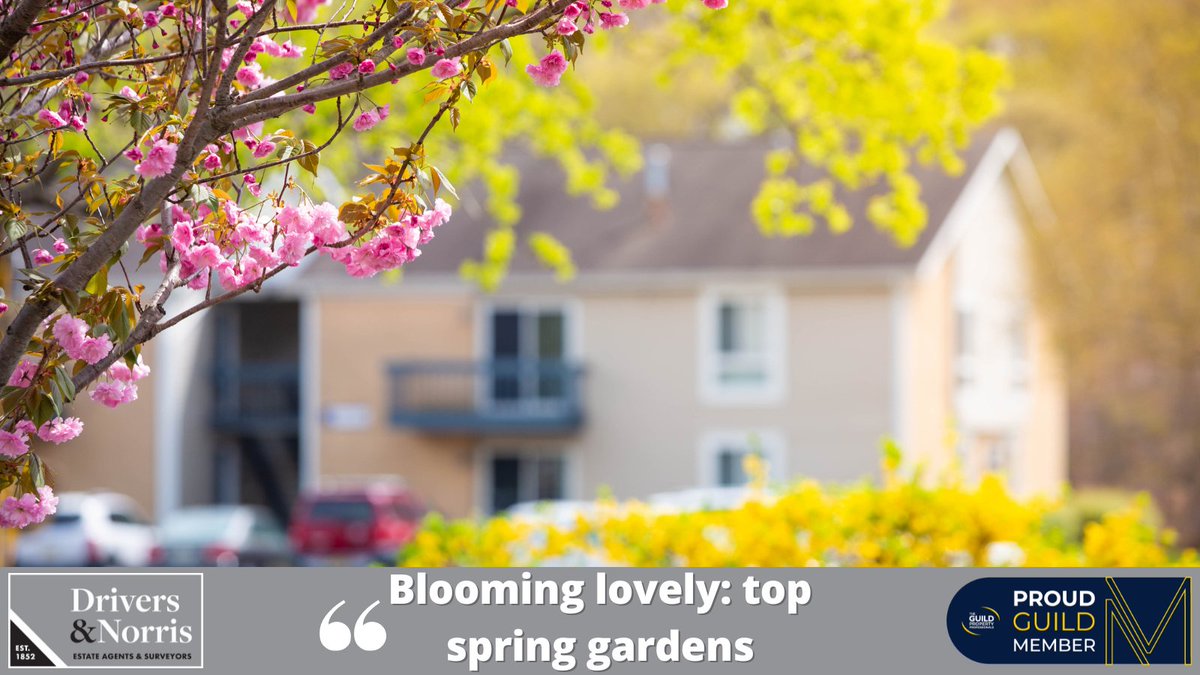 🌸Spring is here, and that means #gardengoals! #TheGuild has rounded up 10 spectacular homes across the UK with breath-taking spring gardens! 👀 More details here👉drivers.co.uk/news/blooming-… 

Great news for our colleagues <a href="/HerbertRThomas/">Herbert R Thomas</a> <a href="/Norman_F_Brown/">NormanFBrown</a> <a href="/WoolleyWallisEA/">Woolley & Wallis</a>