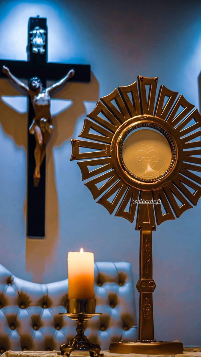 ℭ𝔢𝔩𝔢𝔪𝔞𝔯𝔦𝔞🇻🇦 tweet media