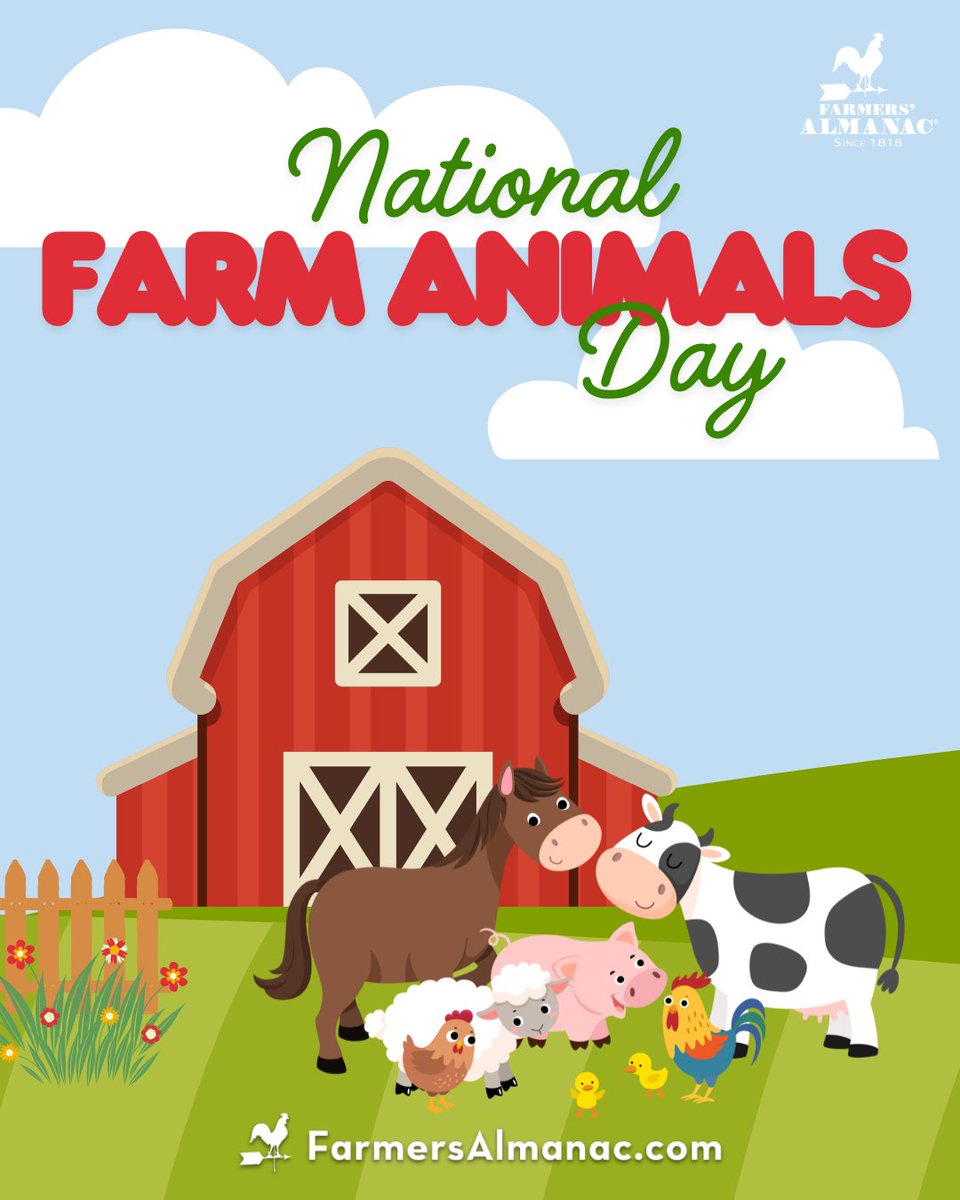FarmersAlmanac's tweet photo. 🐄🐖🐓 Happy National Farm Animals Day! 🐄🐖🐓 Today, we celebrate the incredible animals that sustain and nourish us, as well as the hardworking farmers who care for them with dedication and heart.  https://t.co/p2C3DFR5Vn https://t.co/q4BatenBdd