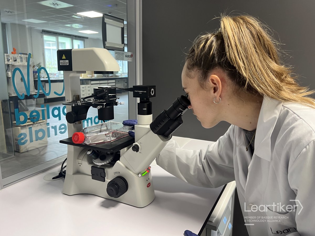 Leartiker tweet media