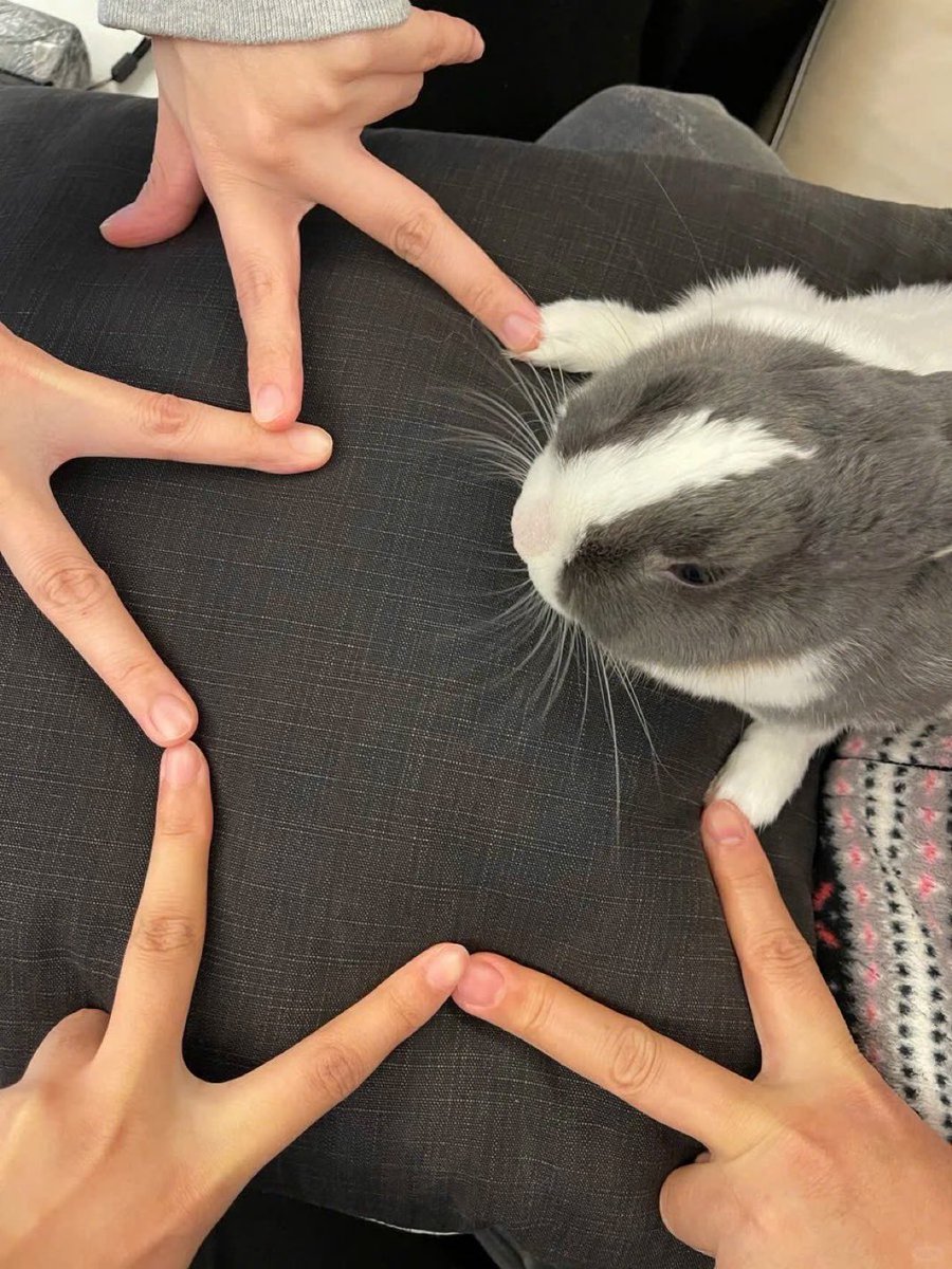 healing_storage's tweet photo. 다섯이 모여서 하나야 https://t.co/pqNinmVwiE