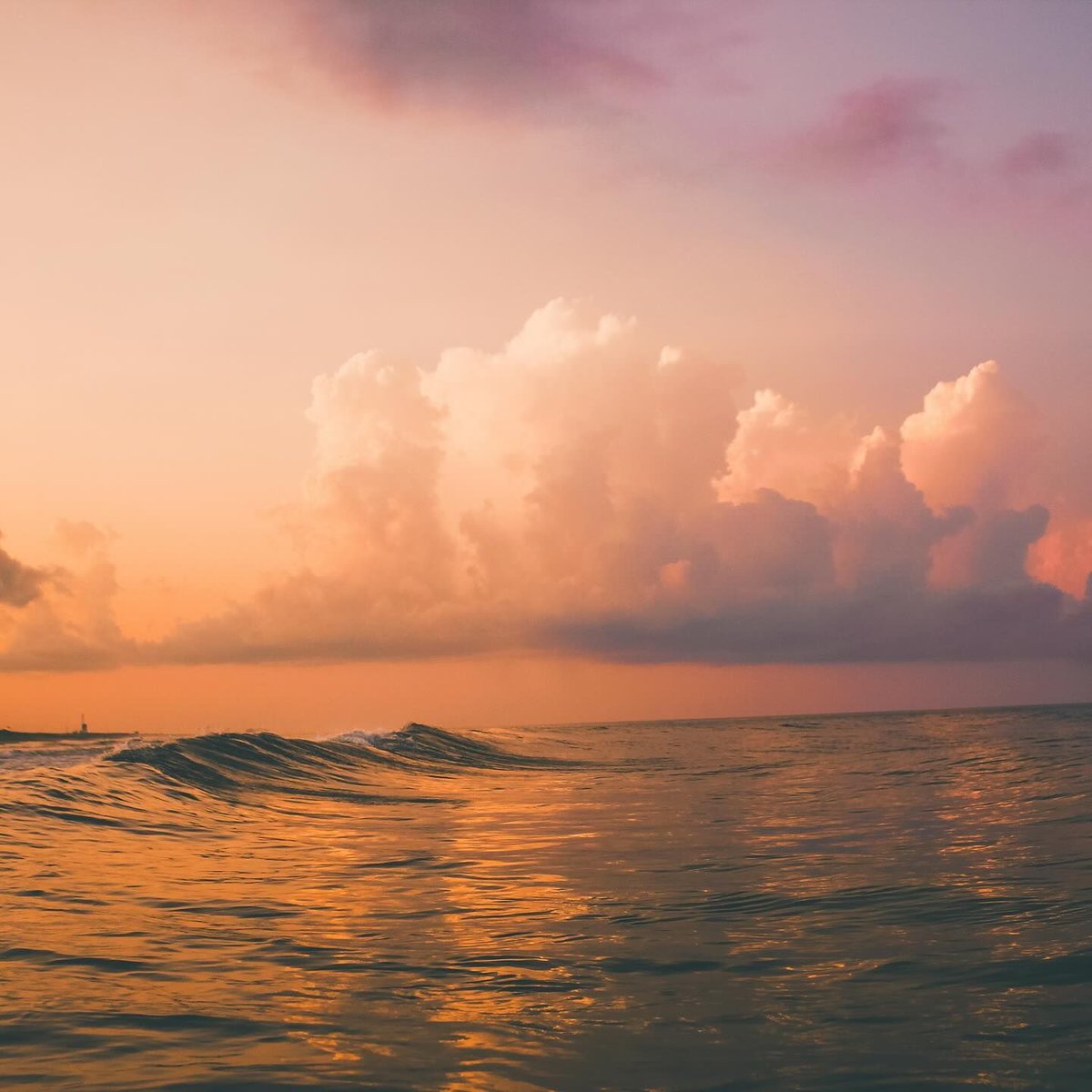 #Sandbridge magic 🐬 
📸 Photography by local, @sammusselman99 
#virginiabeach #virginia