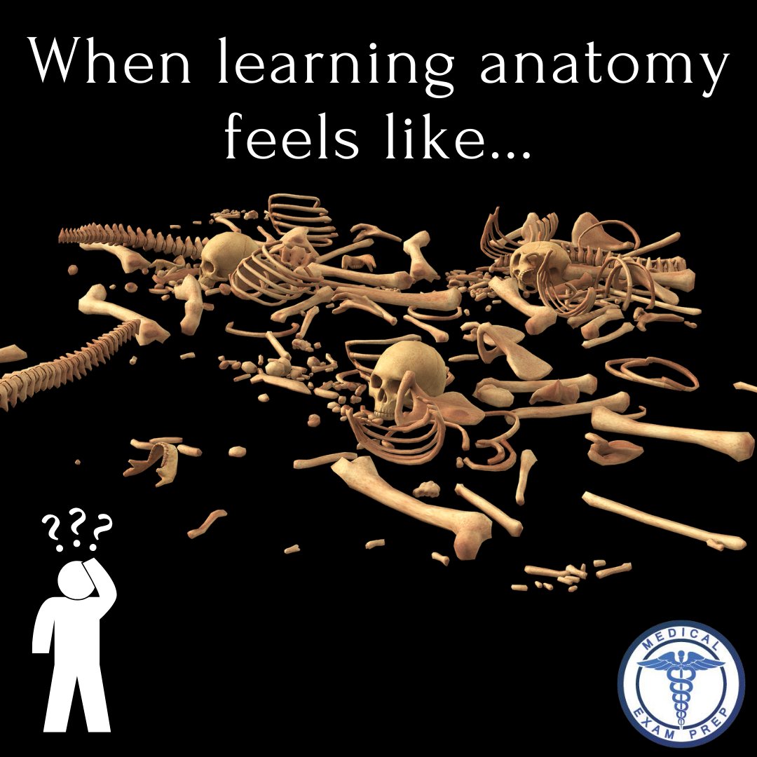 Medical Exam Prep tweet media