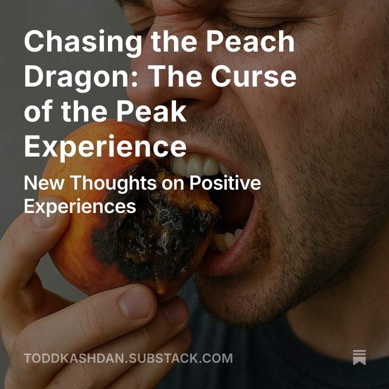 Todd Kashdan (@toddkashdan) on Twitter photo Lots in her about #Wellbeing including an ode to <a href="/abbydavisson/">Abby Davisson</a> toddkashdan.substack.com/p/chasing-the-… Lots in her about #Wellbeing including an ode to <a href="/abbydavisson/">Abby Davisson</a> toddkashdan.substack.com/p/chasing-the-…