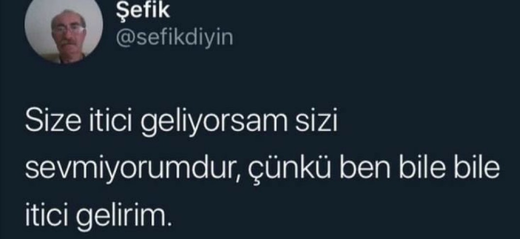 Alnı Öpülesi Tivitler (@alniopulesitivt) on Twitter photo 