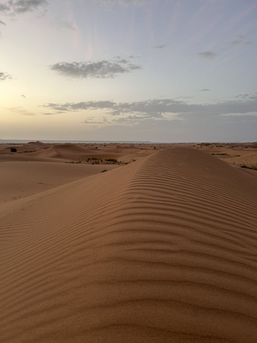 PeterboroughTra's tweet photo. Sunset in the Sahara heading back to our desert camp https://t.co/Yoc2j60BJF