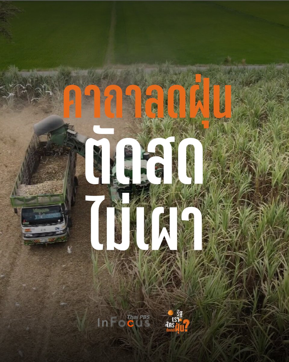 ThaiPBS's tweet photo. คาถาลดฝุ่น ตัดสด ไม่เผา ทำได้จริงไม่เจ๊ง ?
ไทยส่งออกน้ำตาลเป็นอันดับต้น ๆ ของโลก แต่เส้นทางผลิตน้ำตาลกลับไม่เป็นมิตรกับสิ่งแวดล้อม ถ้าชาวไร่อ้อยหยุดเผาอ้อยต้องแลกกับอะไรบ้าง
📌 ติดตามเรื่องราว รัฐ เรา ใคร ต้องแก้ฝุ่น ? 👉 https://t.co/RayCFhbQ44
#อร่อยปากลำบากปอด #FixPM25 #ฝุ่นPM25 #PM25 #มลพิษทางอากาศ #ไร่อ้อย #เผาไร่อ้อย #อ้อย #ThaiPBSinFocus #ThaiPBS