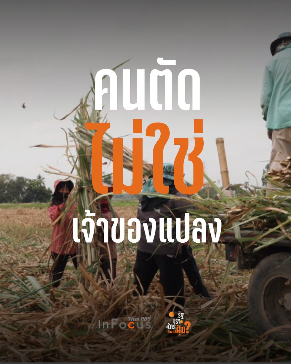 ThaiPBS's tweet photo. คาถาลดฝุ่น ตัดสด ไม่เผา ทำได้จริงไม่เจ๊ง ?
ไทยส่งออกน้ำตาลเป็นอันดับต้น ๆ ของโลก แต่เส้นทางผลิตน้ำตาลกลับไม่เป็นมิตรกับสิ่งแวดล้อม ถ้าชาวไร่อ้อยหยุดเผาอ้อยต้องแลกกับอะไรบ้าง
📌 ติดตามเรื่องราว รัฐ เรา ใคร ต้องแก้ฝุ่น ? 👉 https://t.co/RayCFhbQ44
#อร่อยปากลำบากปอด #FixPM25 #ฝุ่นPM25 #PM25 #มลพิษทางอากาศ #ไร่อ้อย #เผาไร่อ้อย #อ้อย #ThaiPBSinFocus #ThaiPBS