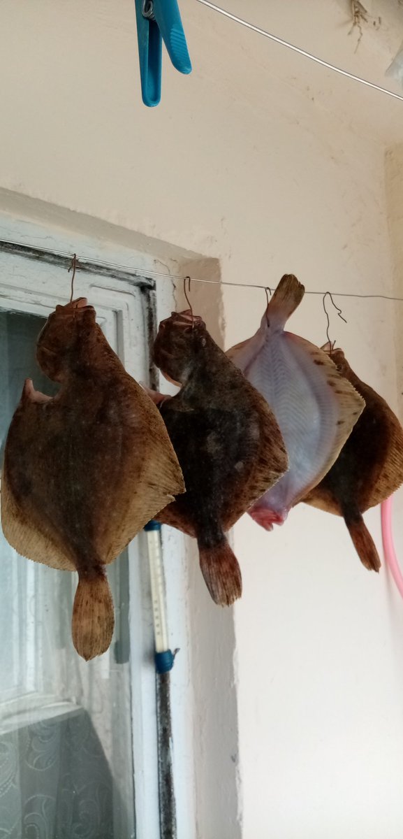 Релакс..
