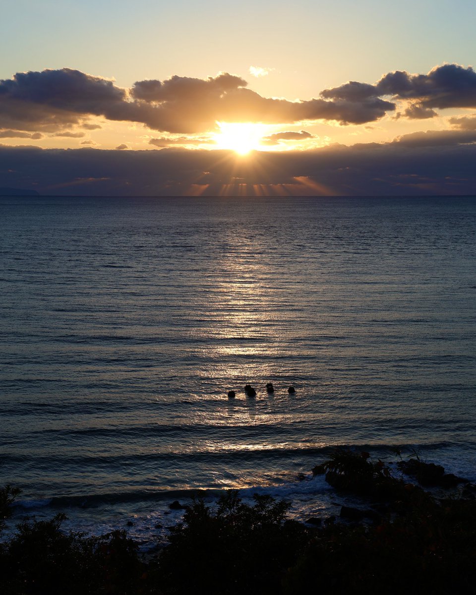 y_a_s_u_s_h_i_'s tweet photo. 日没
sunset

撮影場所: 鹿児島
Location: Kagoshima
camera : canon R6mark2

#写真家 #日本写真家協会 #JPS #スタジオツービー #フォトグラファー #カメラマン #撮影 #アート #カメラ #写真展 #photography #photographer #Japan #japantravel #japanphotography #japan_photo #nonfilter #art #art_of_japan_ #Instagood #yasushigram_official #写真好きな人と繋がりたい #followme #sunset #sunsetlovers #sunsetphotography