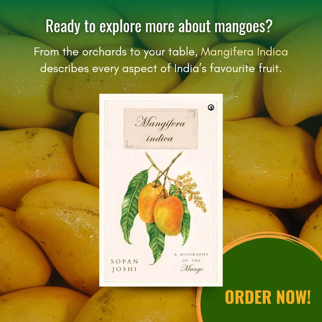 AlephBookCo's tweet image. Discover and learn about your favourite variety’s origins, and uncover the stories behind each variety. A true celebration of nature’s sweetest gift! ✨

amazon.in/Mangifera-indi…

#MangiferaIndica #MangoVarieties #KingOfFruits #MangoLove #IndianMangoes #FruitLovers #MangoSeason