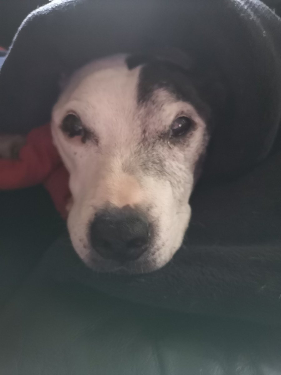 Sarah Blackburn tweet media