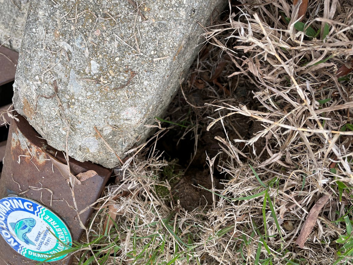 TOMstormwater's tweet photo. #CoverChange Thursday!

Out of sight, out of mind. Most of the time.

#Stormwater flows to drains, then underground pipes, &amp; finally to our @Morrisville_NC #waterways. Unnoticed by most of us. However, when a pipe gets damaged, it can cause a sinkhole on the surface above. https://t.co/FmWHQNAmeI