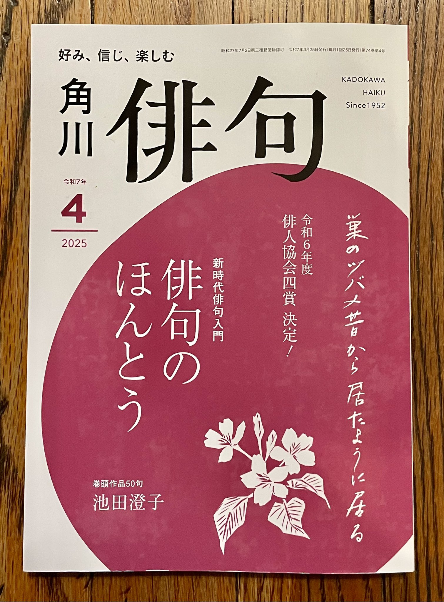 月野ぽぽな Popona Tsukino (@PoponaTsukino) / X 月野ぽぽな Popona Tsukino (@PoponaTsukino) / X