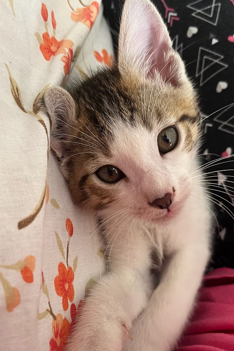 jo◂Ⓘ▸ tweet media