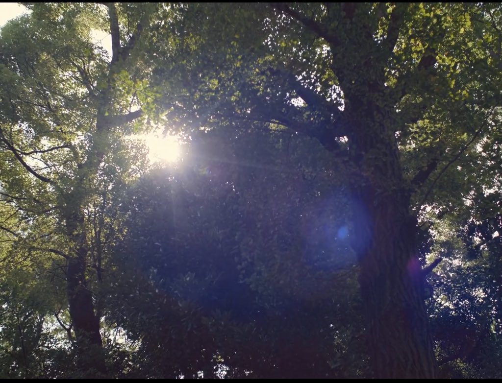 alhav5's tweet photo. Morning movie,a slow life movie with beautiful and refreshing details. https://t.co/F475pvVTE8