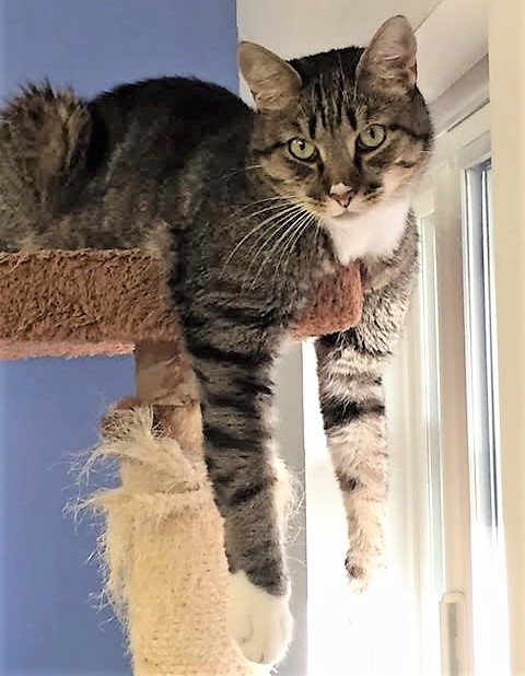 Renee' Martin tweet media