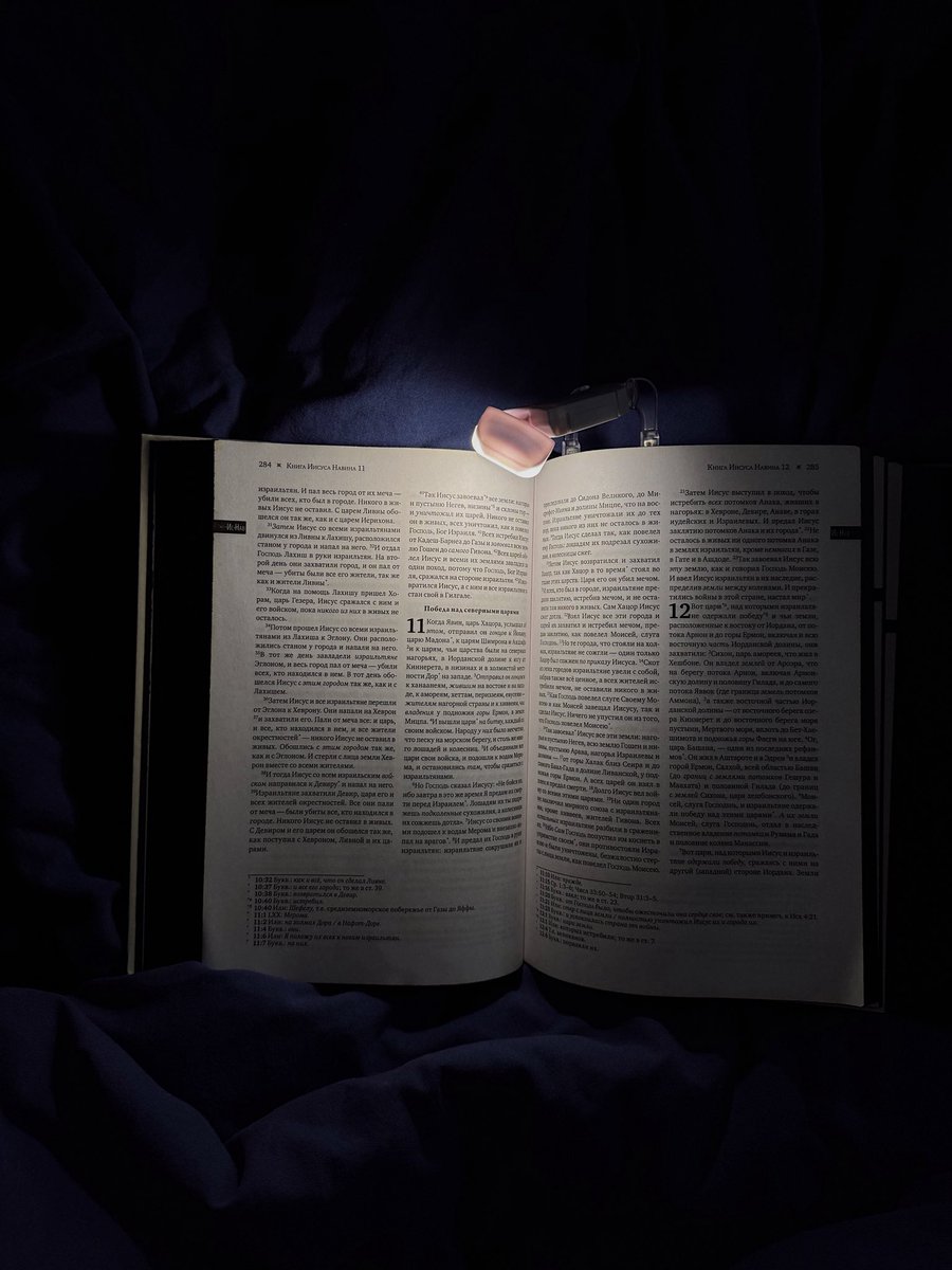 marxenia's tweet photo. жизнь состоит из офиса, книг и бани по выходным https://t.co/JZTDt9Gl9m