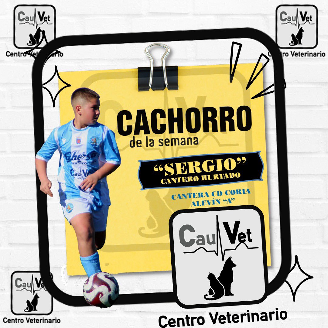 RojoFarolillo's tweet photo. PATROCINADOS 🐶🐵🐶

 EL CACHORRO de la semana de centro veterinario CauVet es para : 

Sergio Cantero Hurtado, del  Alevín “A” de la @CanteraCDCoria , por sus cualidades y habilidades, además del gran futuro que prevemos que podrá tener si su progresión sigue siendo la que es. https://t.co/O85Id9lRW7