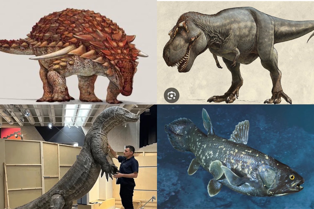 shamari7jones's tweet image. Would you like to see these things to be clowned or brought back from extinction?

#DireWolf #woolymammoth #tyrannosaurus #JurassicWorldRebirth #JurassicWorld #jurassicpark #extinction