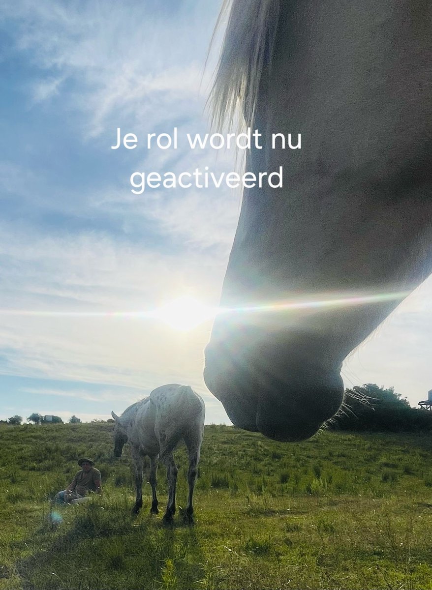 Avana_Energy's tweet photo. Je rol is nu geactiveerd.
Je hoeft het niet te bedenken.
Je mag het herinneren.
Het veld weet het al. Jij nu ook.

#zielswerk #intuitie #activatie #hetveldspreekt #transformatie #bewustzijn #persoonlijkleiderschap #kinesiologie https://t.co/Cnlq5pRkyt