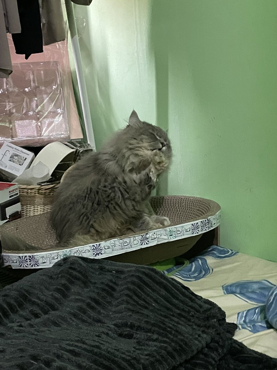 macam model tidor🙂‍↔️🙂‍↔️