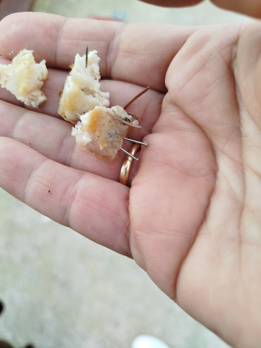 rugarsu's tweet photo. @PoliciaFuenla   por favor hay algún hijo de su put4 madre que está dejando esto en el paseo de Lisboa 19 a la altura del parquecito que hay donde las pistas.... Un poquito de vigilancia y mano dura... Gracias https://t.co/eIS6DJwumZ