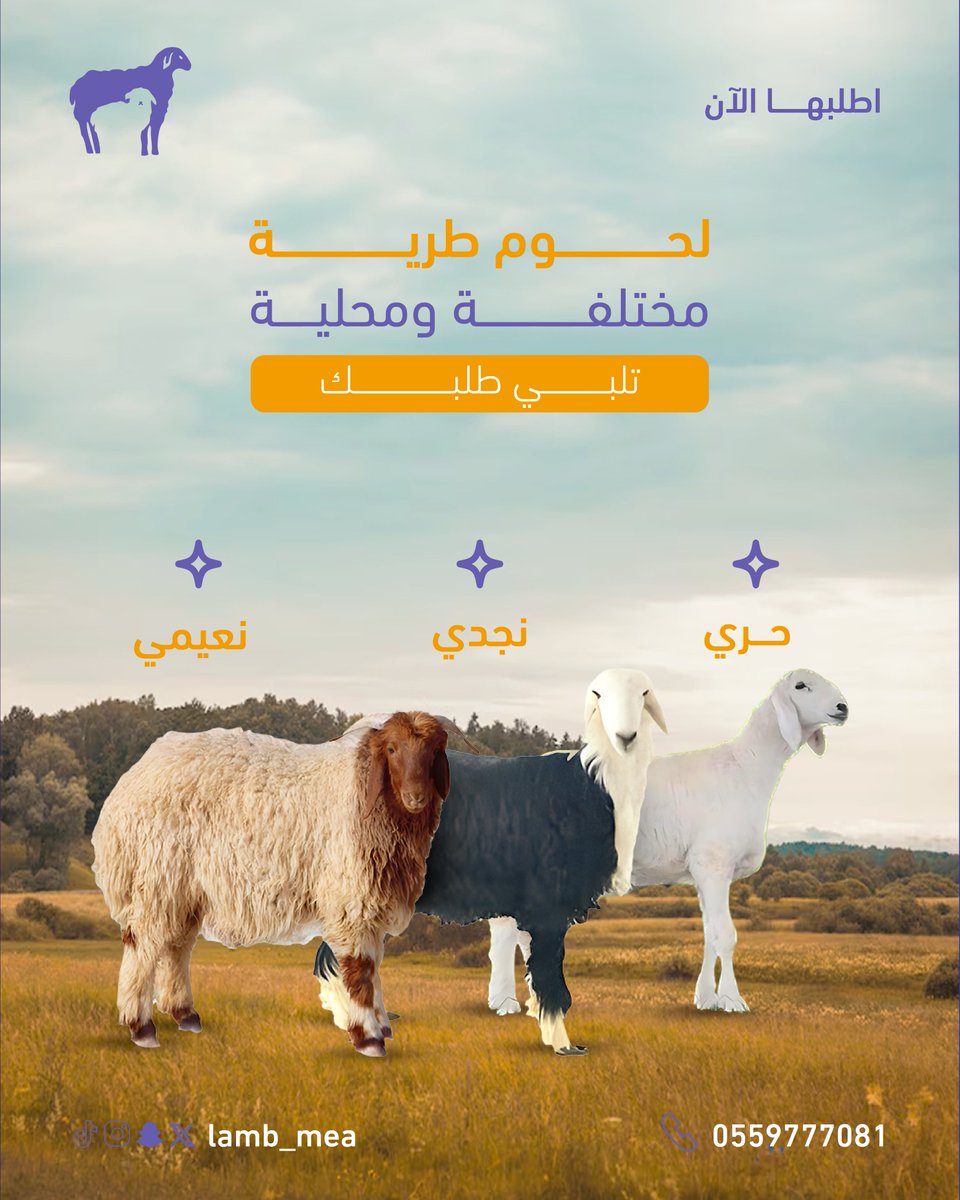 lamb_mea's tweet photo. جميع انواع اللحوم متوفرة حسب طلبك
لحوم طرية ومختلفة تناسب وليمتك
حري نجدي نعيمي واكثر😍 !
#ذبائح https://t.co/LBCDk7cDRZ