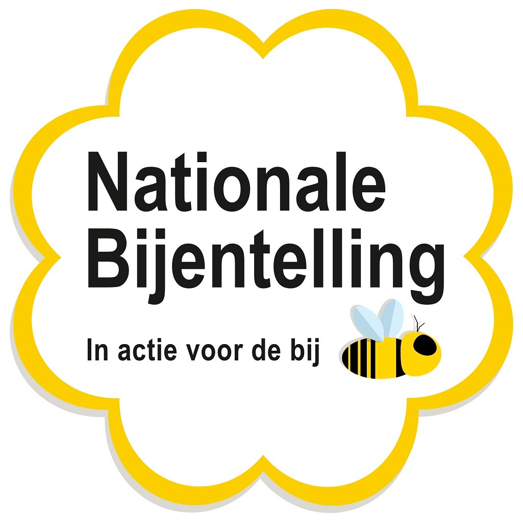 Half uurtje tijd? Doe dan ook weer meer met de Nationale Bijentelling, alweer de 8ste editie. Leuk, leerzaam en nuttig. Meer informatie via de site van #nationalebijentelling #wildebijen #bijen #pollinators