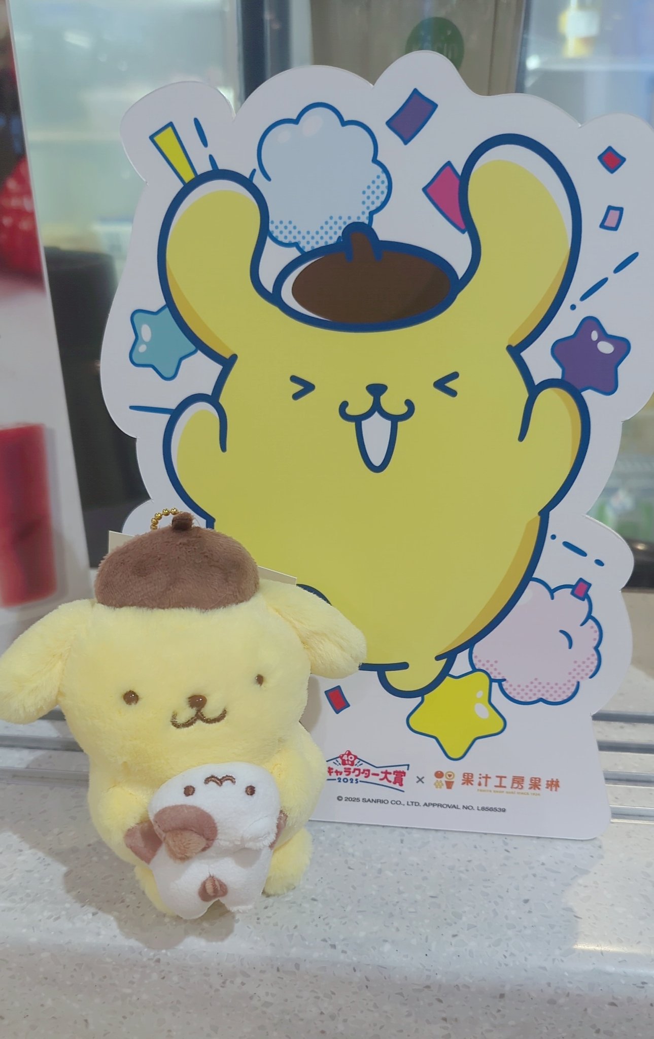 puni__pom＊ (@pomu_puni) / X