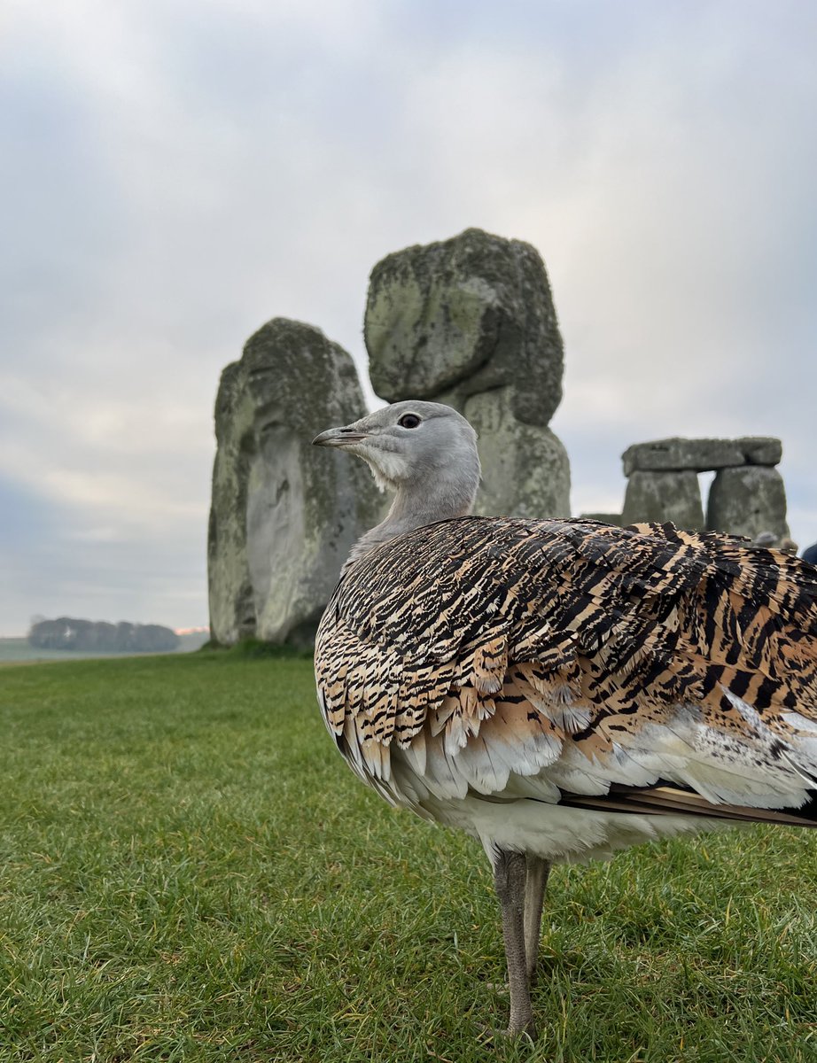 Sunrise at Stonehenge today (10th April) was at 6.23am, sunset is at 7.55pm 🌥️