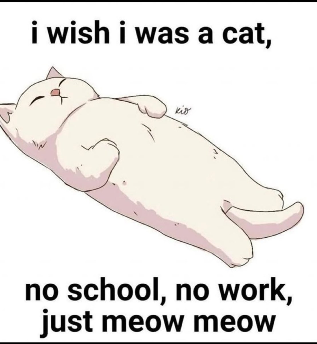 ADHD Memes tweet media