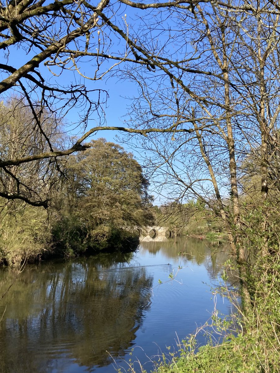 Bradford on Avon is so pretty in the sunshine ☀️