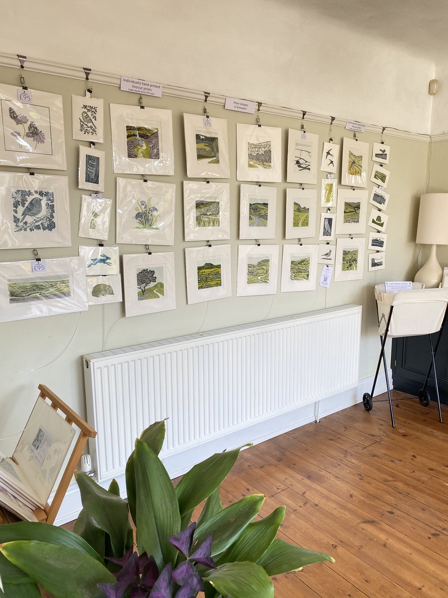 Michelle Hughes tweet media