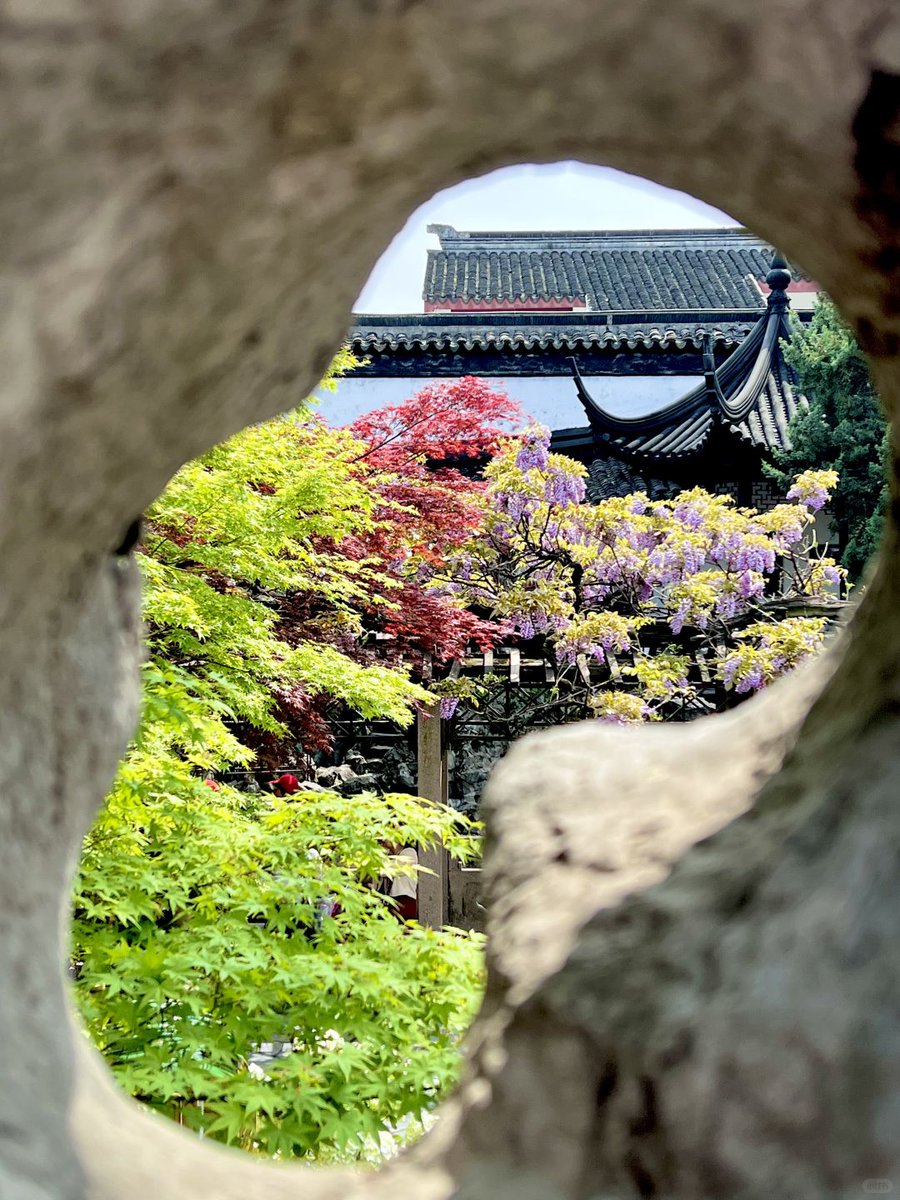 ZhengguanNews's tweet image. April in #Suzhou, China feels like walking through a painter’s palette, bursting with vibrant colors. 🎨🌸🌿#SuzhouGardens #SpringInChina #ChineseHeritage #GardenArt #ColorfulNature