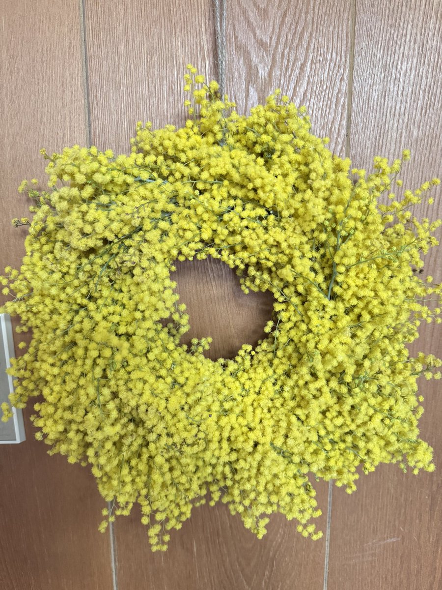お向かいから貰ったミモザでリース作りましたが、エンドは相変わらず上手く処理出来ないのと、中央が丸くなってない
💦