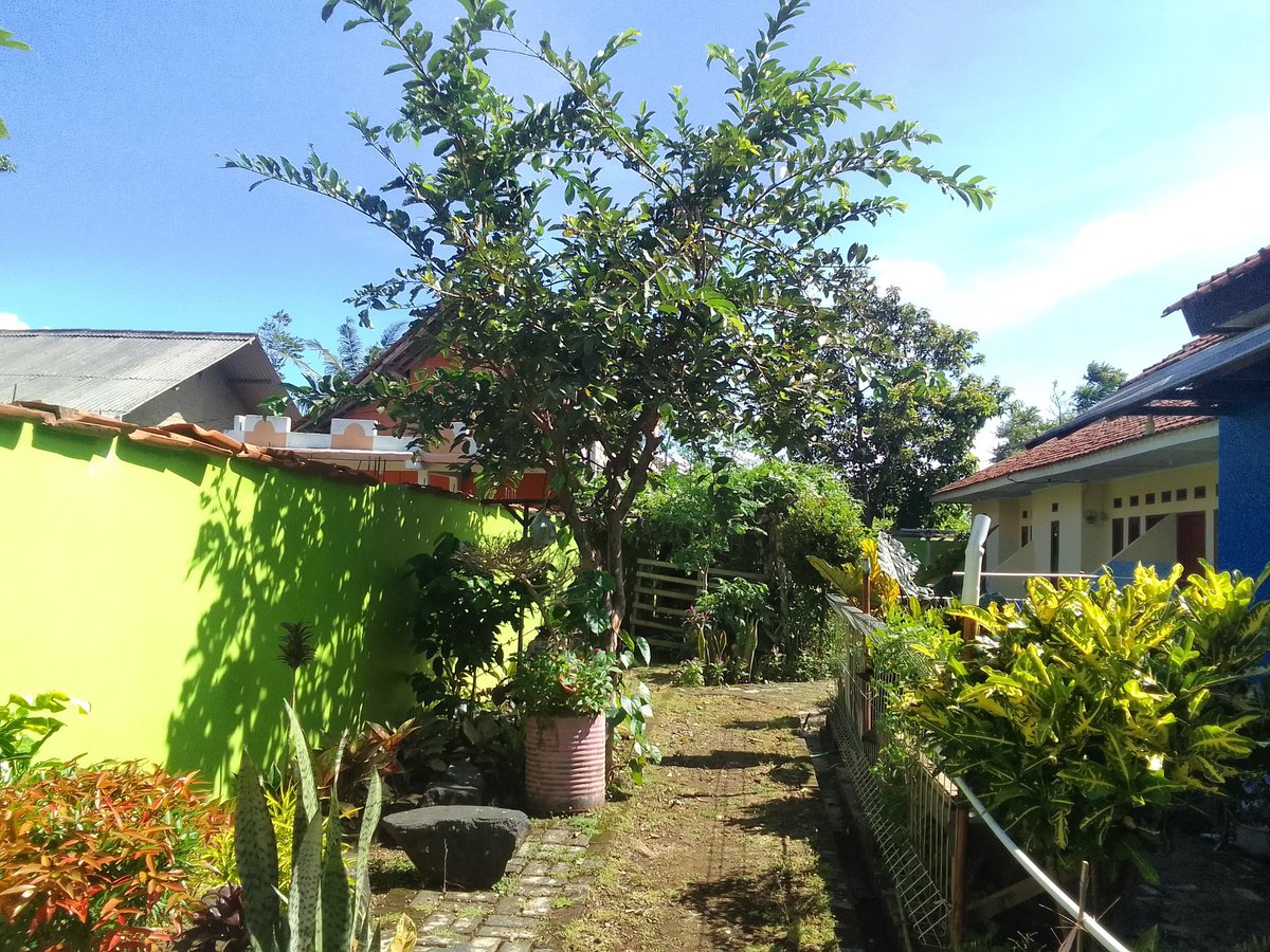 Putri Rahardjo tweet media