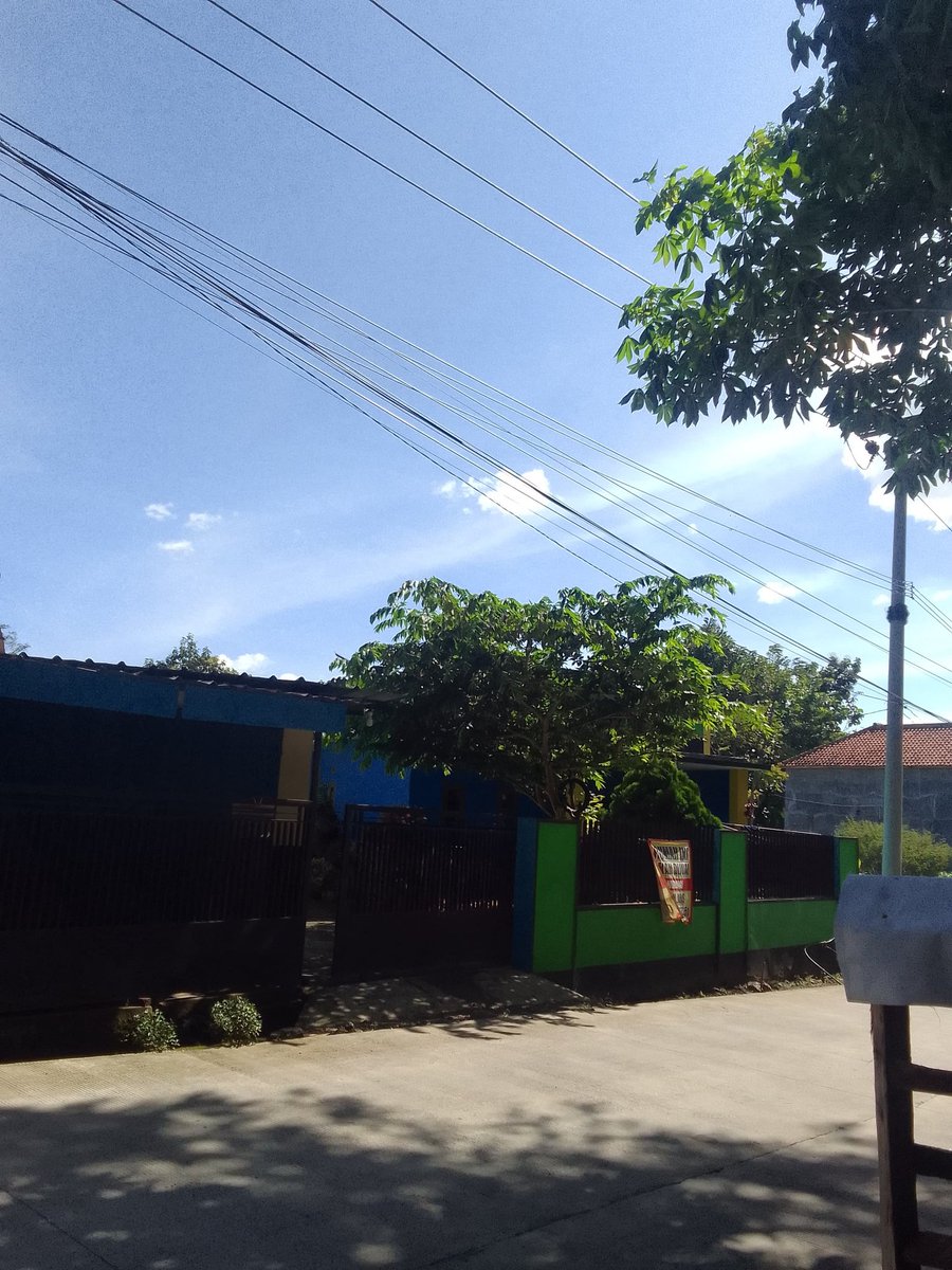 Putri Rahardjo tweet media