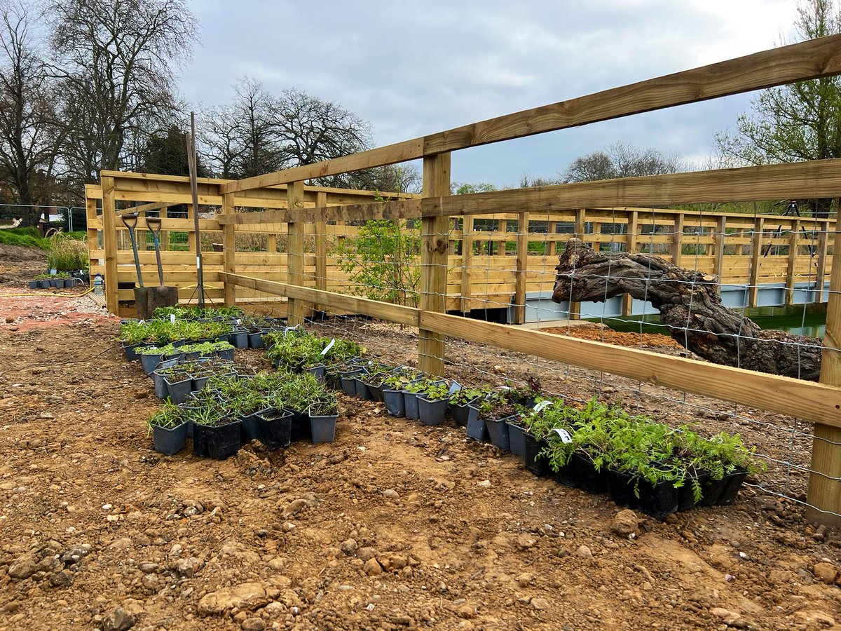 Joel Ashton 🍃🌳🍃 tweet media