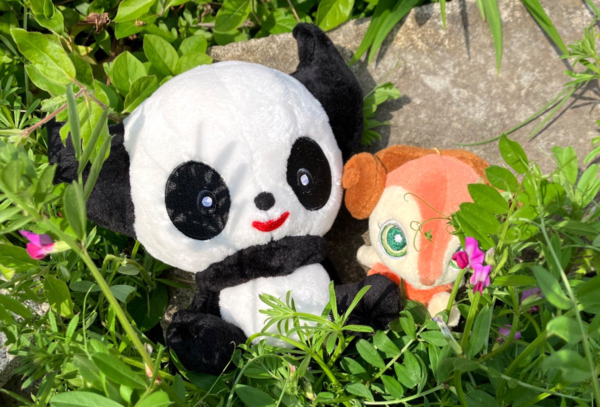 ぬくも🧸リヴリーぬいぐるみ出品中｜クラシック(PC版) リヴリー