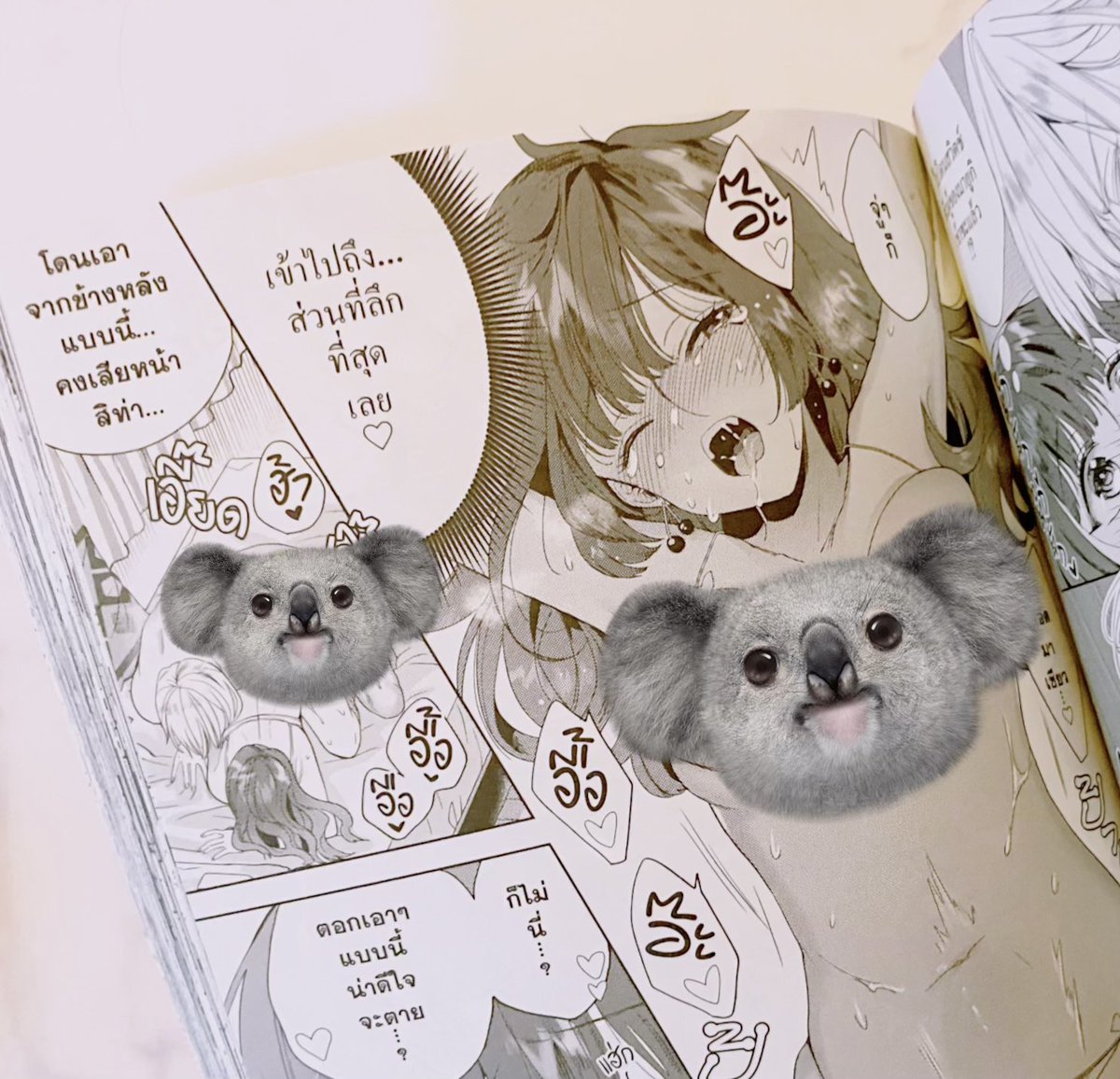 タイ語版の「自信家サキュバスと勃ちの悪い男」をいただきました。タイの方々に楽しんでもらえてるといいな…!
ポストカードやメモが挟める可愛いマグネットも付いてて嬉しいです῀ᢦ῀♡ 