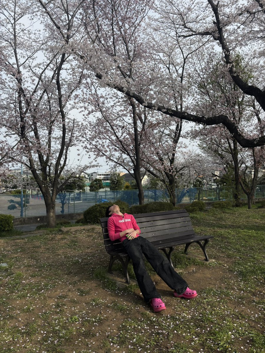 春、花粉でずっと体調崩してる