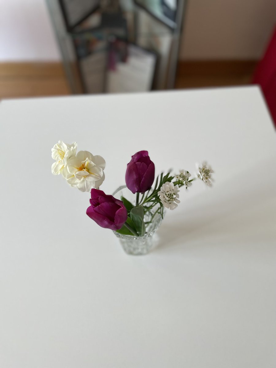 PaulaWhitcher1's tweet photo. Morning! Its #FlowerThursday once again âŠ@BBCGlosâ© Reception! Iâm back behind the desk wading through the post for âŠ@cazzatalkmartinâ© đ đâșïžHave a great day! đ https://t.co/5X3YDAHMUr