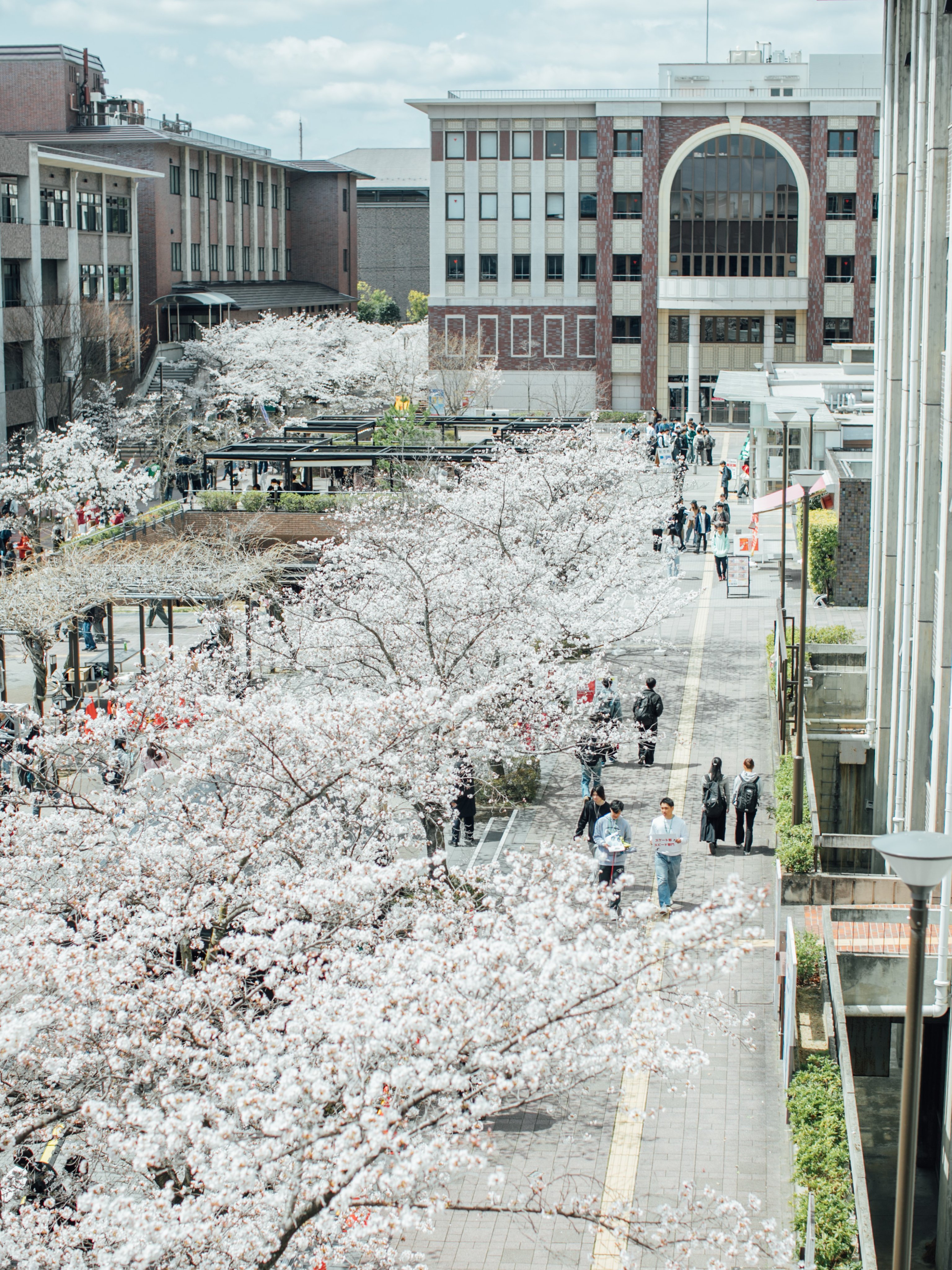 立命館大学校友会 (@Ritsumei_Alumni) / X
