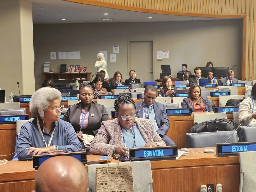 MEPD_Eswatini's tweet image. #58th Session
#Commission on population &amp;amp; development
#MEPD
#National population office
#New York
#United States of America