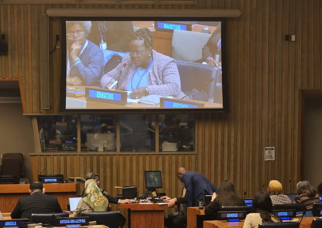 MEPD_Eswatini's tweet image. #58th Session
#Commission on population &amp;amp; development
#MEPD
#National population office
#New York
#United States of America