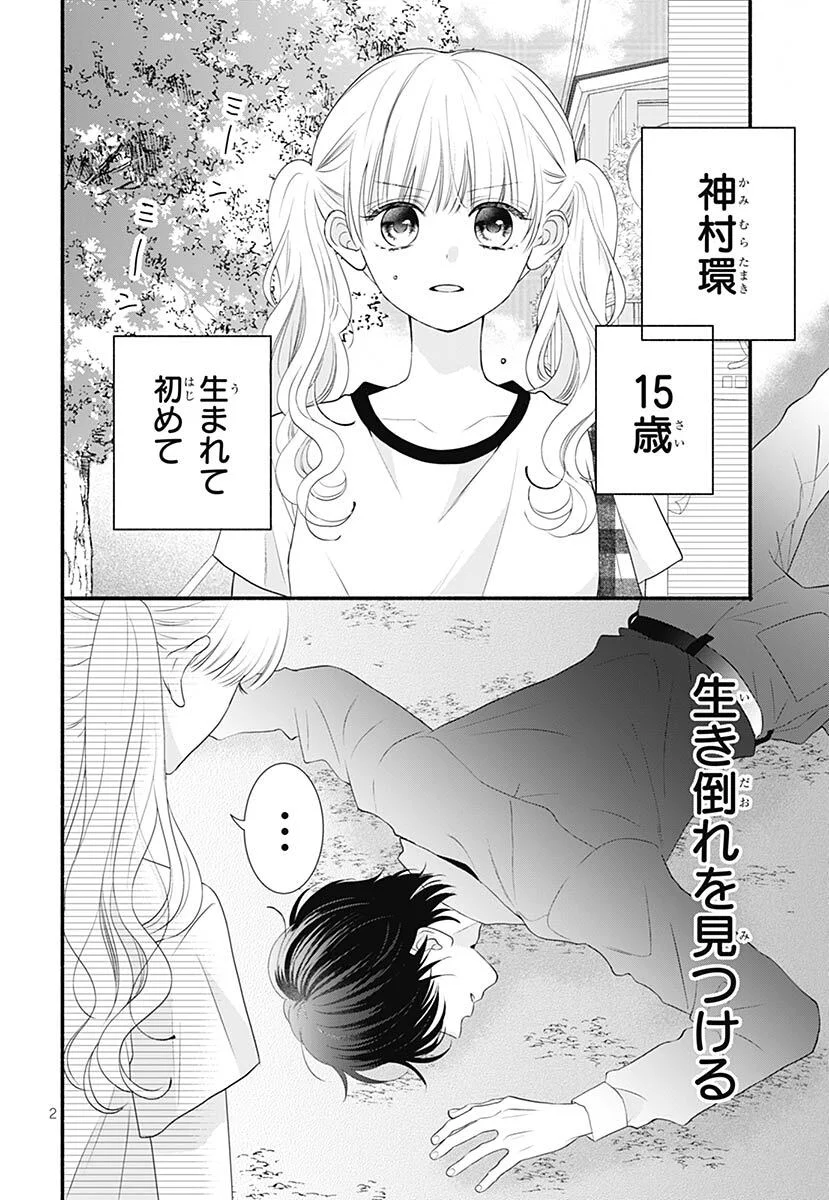 りぼん編集部 в X: „（5/5）“ / X