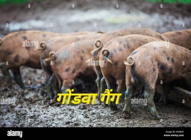 MataBharata's tweet photo. @Andnvaji_ka_Abu @royalprofessor5 @sumitchauhan909 @mediacellsp 😅🤣🤣🤣🤣🤣🤣🤣 https://t.co/dQnpsvIhbK